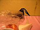 PICT0012.JPG