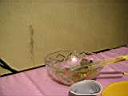 PICT0013.JPG